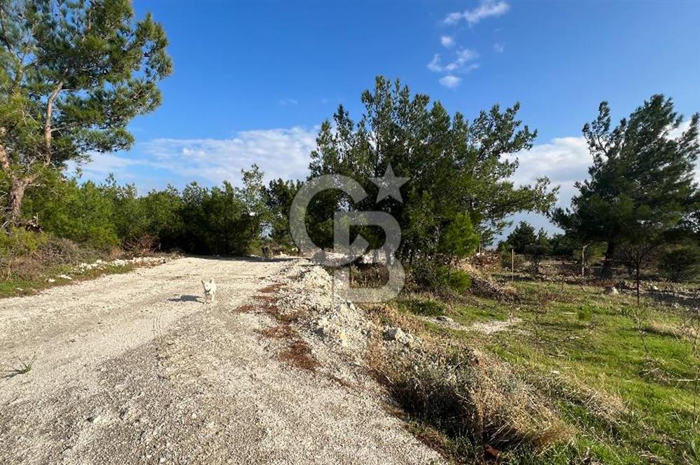 Yatırıma Uygun Dikili Çandarlı El Ele Koop. 282 m2 Satılık Arsa