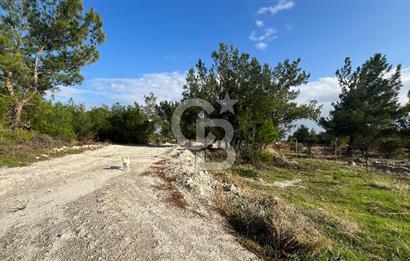 Yatırıma Uygun Dikili Çandarlı El Ele Koop. 282 m2 Satılık Arsa