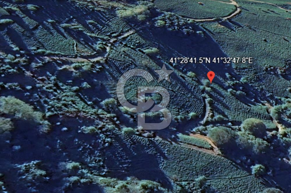 Karadeniz’in En Stratejik Noktasında Deniz Manzaralı Özel Arazi