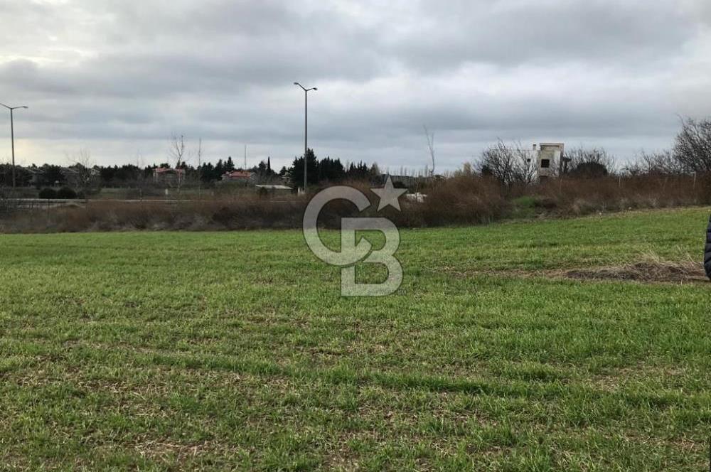 SELİMPAŞA İMARLI FIRSAT ARSA