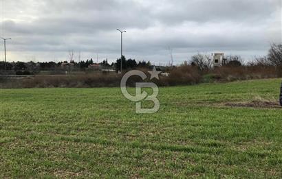 SELİMPAŞA İMARLI FIRSAT ARSA