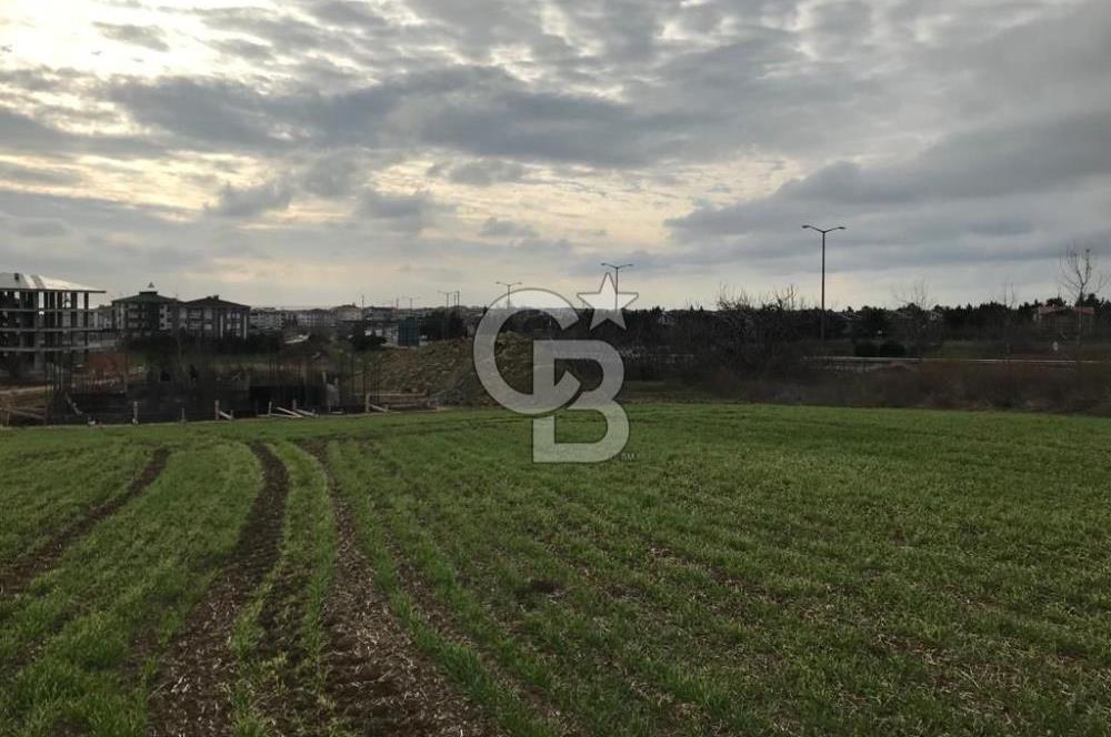 SELİMPAŞA İMARLI FIRSAT ARSA