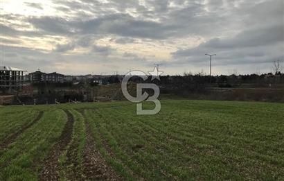 SELİMPAŞA İMARLI FIRSAT ARSA