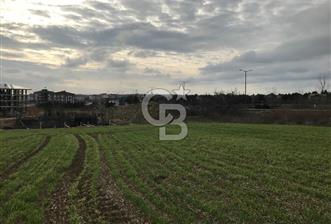 SELİMPAŞA İMARLI FIRSAT ARSA - 8 - 342044