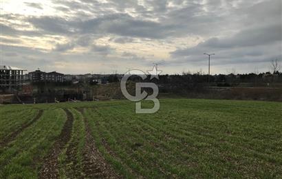 SELİMPAŞA İMARLI FIRSAT ARSA