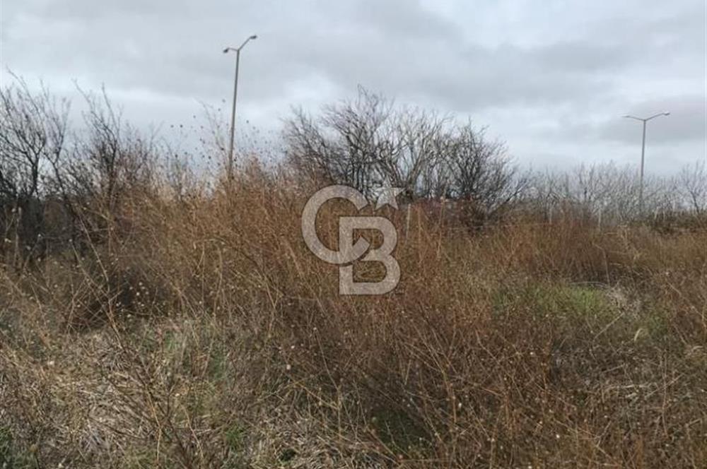 SELİMPAŞA İMARLI FIRSAT ARSA