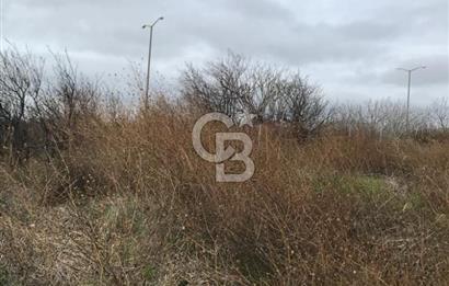 SELİMPAŞA İMARLI FIRSAT ARSA