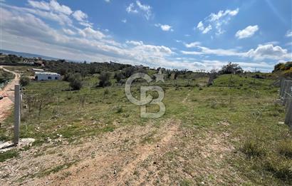 MENDERES AKÇAKÖY'DE DOĞAYLA İÇ İÇE SATILIK 622 M2 TARLA