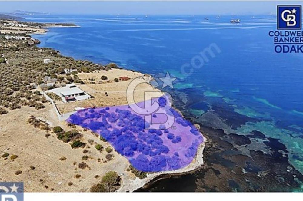 ALİAĞA ÇALTILIDEREDE YATIRIMLIK 5.654m2 DENİZE SIFIR TARLA