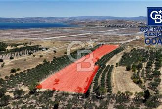 ALİAĞA ÇALTILIDERE'DE TERSANE VE HASTANE YAKINI YATIRIMLIK TARLA - 1 - 342040