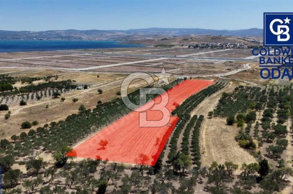 ALİAĞA ÇALTILIDERE'DE TERSANE VE HASTANE YAKINI YATIRIMLIK TARLA