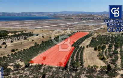 ALİAĞA ÇALTILIDERE'DE TERSANE VE HASTANE YAKINI YATIRIMLIK TARLA
