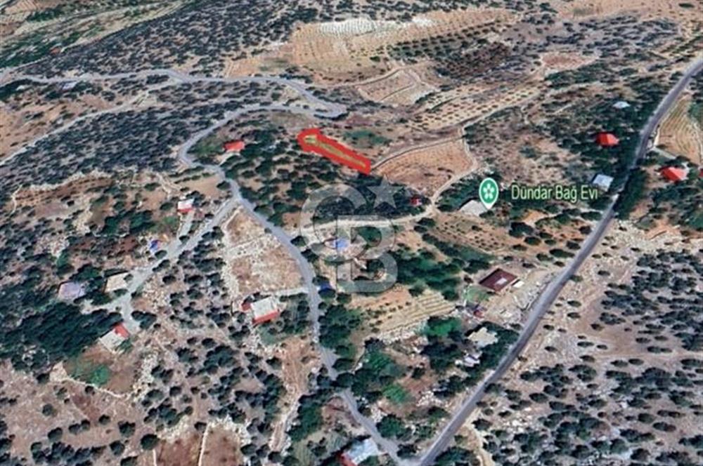 CB'DEN BAHÇELİ MH'DE TEK TAPU (973m2) SATILIK BAHÇE