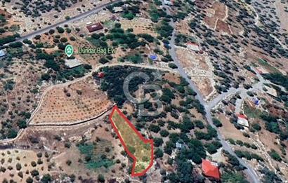 CB'DEN BAHÇELİ MH'DE TEK TAPU (973m2) SATILIK BAHÇE