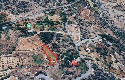 CB'DEN BAHÇELİ MH'DE TEK TAPU (973m2) SATILIK BAHÇE