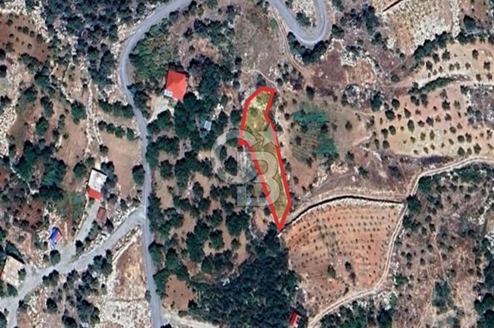 CB'DEN BAHÇELİ MH'DE TEK TAPU (973m2) SATILIK BAHÇE