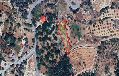 CB'DEN BAHÇELİ MH'DE TEK TAPU (973m2) SATILIK BAHÇE