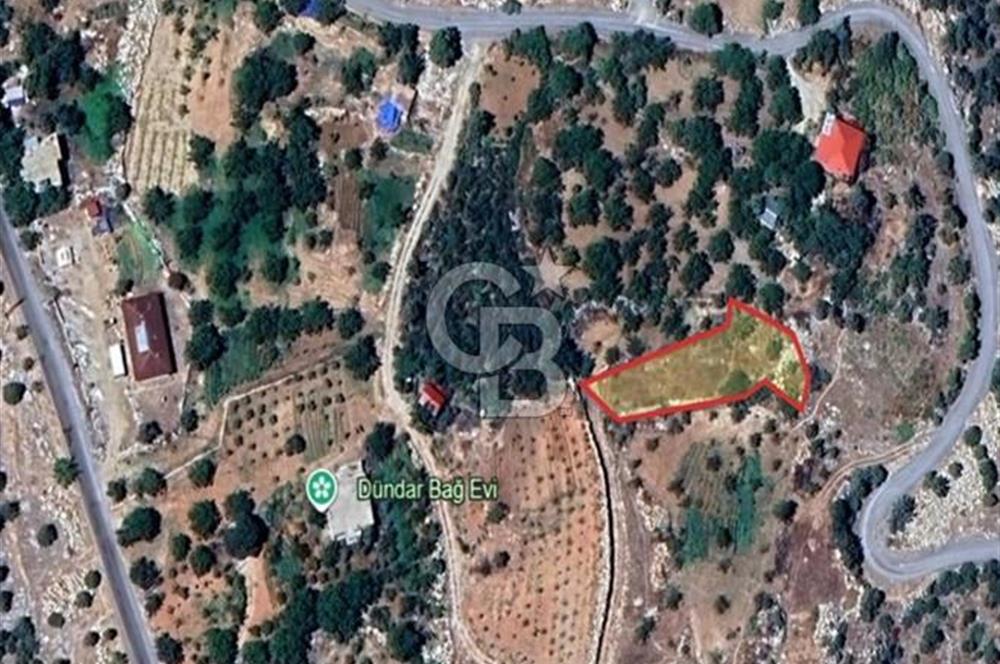 CB'DEN BAHÇELİ MH'DE TEK TAPU (973m2) SATILIK BAHÇE