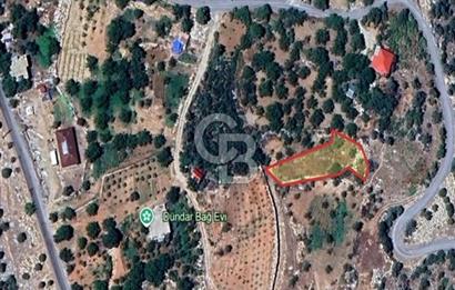 CB'DEN BAHÇELİ MH'DE TEK TAPU (973m2) SATILIK BAHÇE