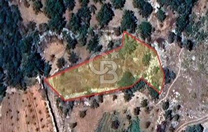 CB'DEN BAHÇELİ MH'DE TEK TAPU (973m2) SATILIK BAHÇE