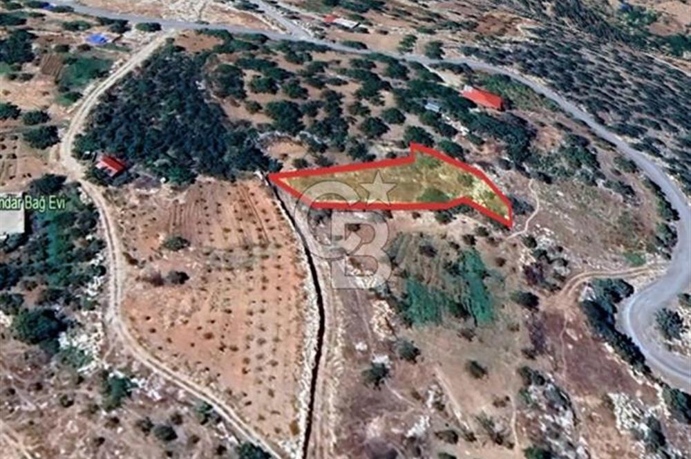 CB'DEN BAHÇELİ MH'DE TEK TAPU (973m2) SATILIK BAHÇE