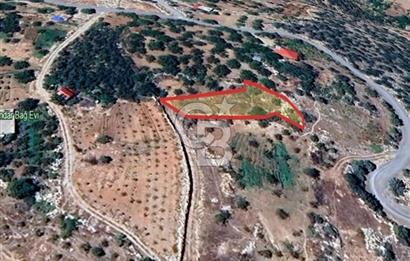 CB'DEN BAHÇELİ MH'DE TEK TAPU (973m2) SATILIK BAHÇE