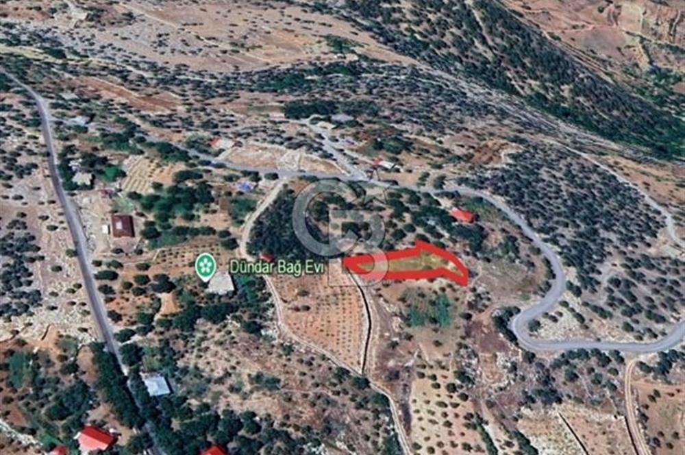 CB'DEN BAHÇELİ MH'DE TEK TAPU (973m2) SATILIK BAHÇE