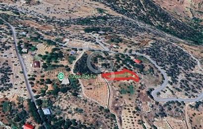 CB'DEN BAHÇELİ MH'DE TEK TAPU (973m2) SATILIK BAHÇE