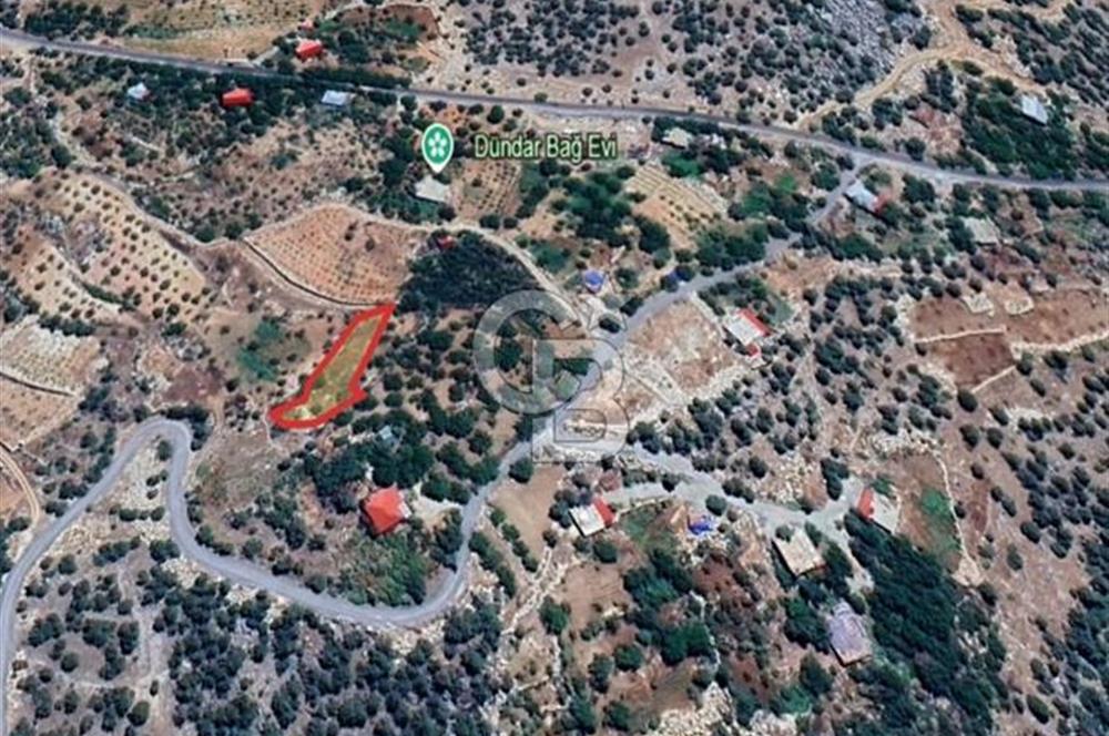 CB'DEN BAHÇELİ MH'DE TEK TAPU (973m2) SATILIK BAHÇE