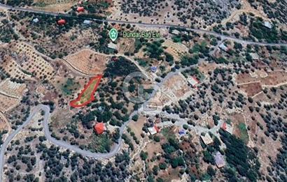 CB'DEN BAHÇELİ MH'DE TEK TAPU (973m2) SATILIK BAHÇE