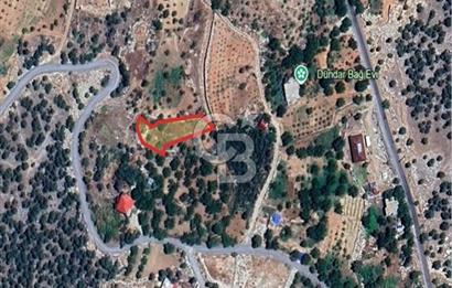 CB'DEN BAHÇELİ MH'DE TEK TAPU (973m2) SATILIK BAHÇE