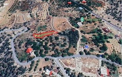 CB'DEN BAHÇELİ MH'DE TEK TAPU (973m2) SATILIK BAHÇE