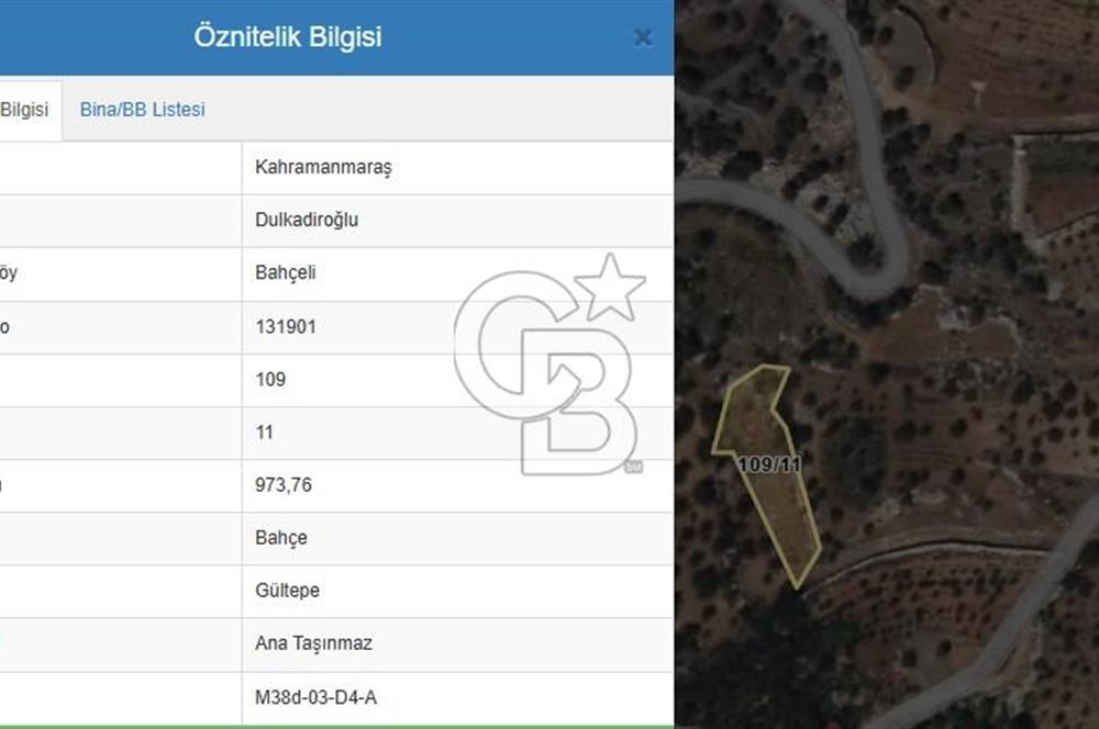 CB'DEN BAHÇELİ MH'DE TEK TAPU (973m2) SATILIK BAHÇE