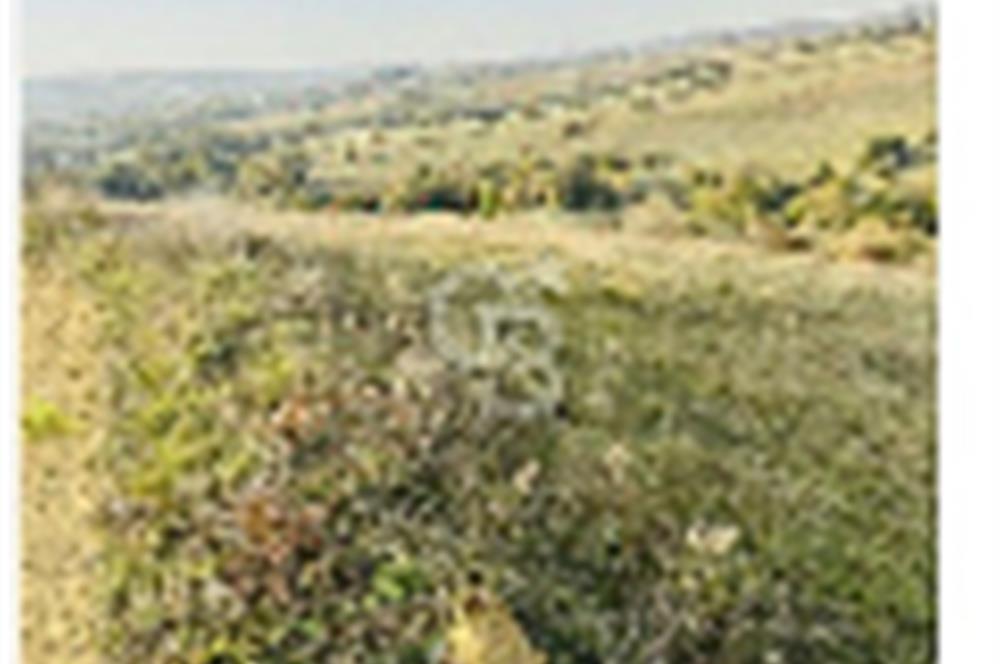 KOCAELİ KÖRFEZ SİPAHİLER MAH.DİĞER TARIM ARAÇ TAKASINA AÇIK