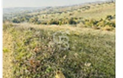 KOCAELİ KÖRFEZ SİPAHİLER MAH.DİĞER TARIM ARAÇ TAKASINA AÇIK