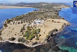 ALİAĞA ÇALTILIDEREDE YATIRIMLIK 5.654m2 DENİZE SIFIR TARLA - 9 - 342028