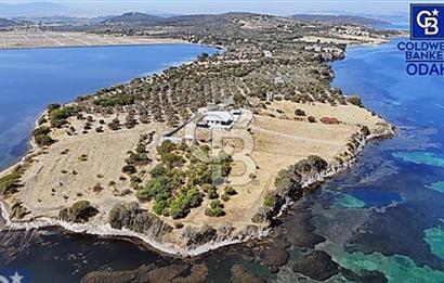 ALİAĞA ÇALTILIDEREDE YATIRIMLIK 5.654m2 DENİZE SIFIR TARLA