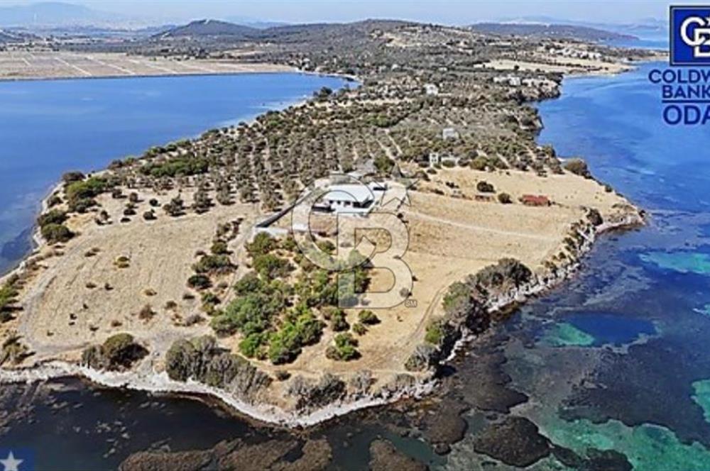 ALİAĞA ÇALTILIDEREDE YATIRIMLIK 5.654m2 DENİZE SIFIR TARLA