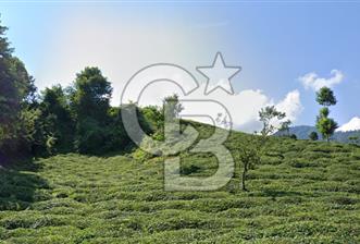 Karadeniz’in En Stratejik Noktasında Deniz Manzaralı Özel Arazi - 10 - 342027