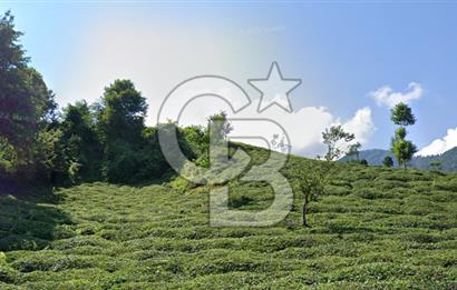 Karadeniz’in En Stratejik Noktasında Deniz Manzaralı Özel Arazi