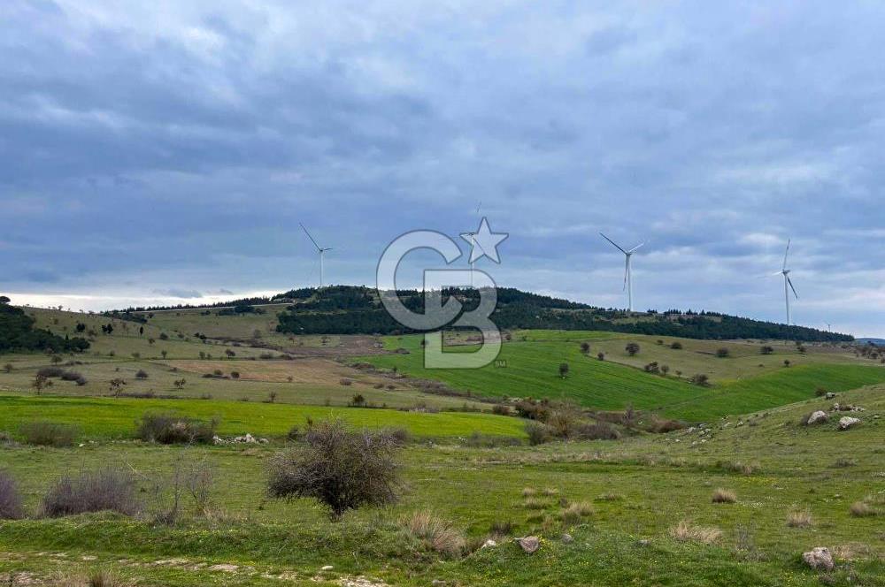 CB EAGLE'DAN BALIKESİR KARAKAYA MH.'DE SATILIK 56.325,08 M²  TARLA 