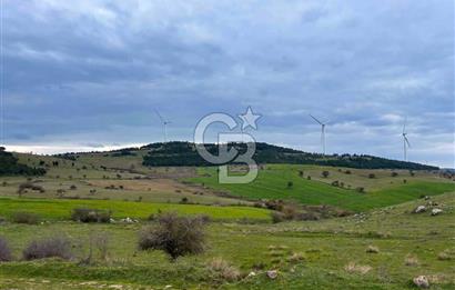 CB EAGLE'DAN BALIKESİR KARAKAYA MH.'DE SATILIK 56.325,08 M²  TARLA 