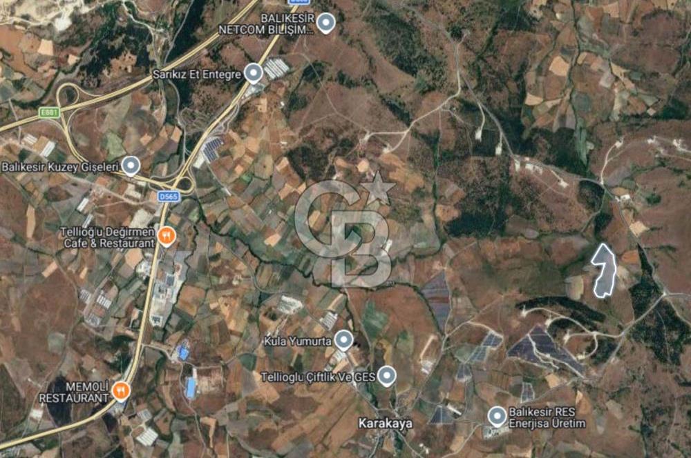 CB EAGLE'DAN BALIKESİR KARAKAYA MH.'DE SATILIK 56.325,08 M²  TARLA 