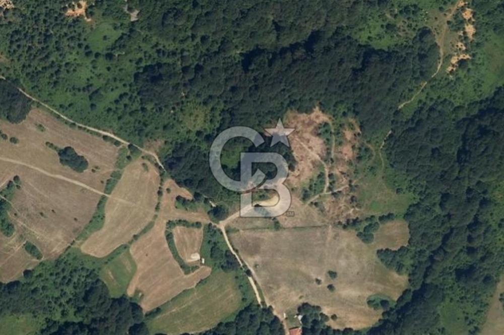 EFSANE YAYLA SATIŞTA. KOCAELİ BAŞİSKELE SERVETİYECAMİ 20.676m2