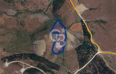 CB EAGLE'DAN BALIKESİR KARAKAYA MH.'DE SATILIK 56.325,08 M²  TARLA 