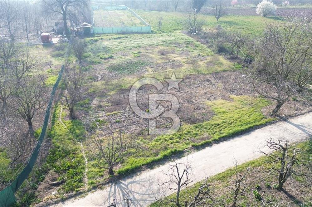 CB KLASS KİRALIK 2500 M2 YOLU MEVCUT TARLA