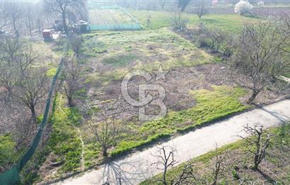 CB KLASS KİRALIK 2500 M2 YOLU MEVCUT TARLA