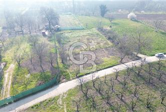 CB KLASS KİRALIK 2500 M2 YOLU MEVCUT TARLA - 3 - 342101