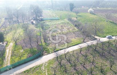 CB KLASS KİRALIK 2500 M2 YOLU MEVCUT TARLA