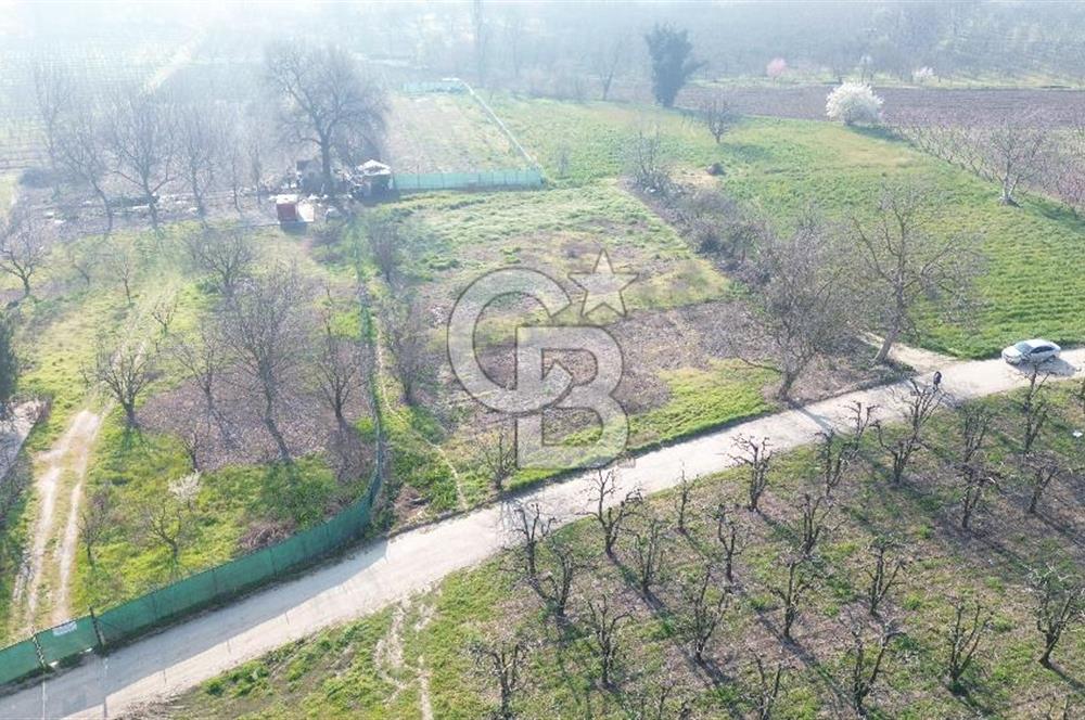 CB KLASS KİRALIK 2500 M2 YOLU MEVCUT TARLA